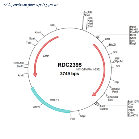 R&D Systems RDC2395 image 1