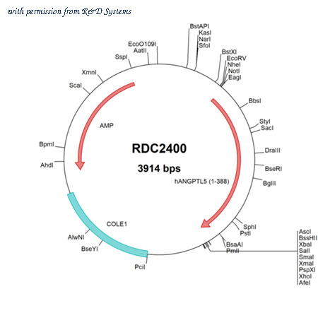 R&D Systems RDC2400 image 1
