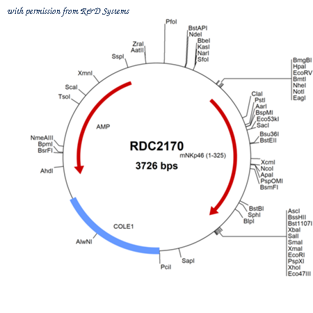 R&D Systems RDC2170 image 1