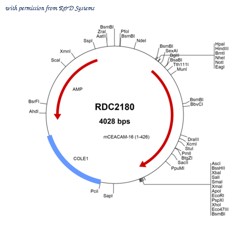 R&D Systems RDC2180 image 1