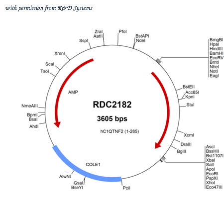 R&D Systems RDC2182 image 1