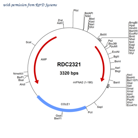 R&D Systems RDC2321 image 1