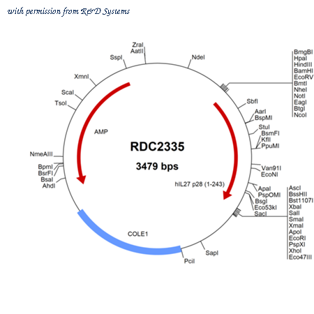 R&D Systems RDC2335 image 1