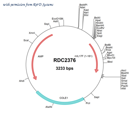 R&D Systems RDC2376 image 1