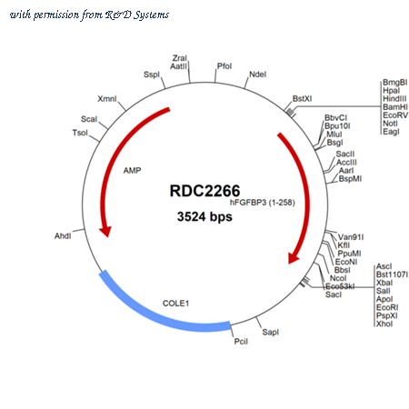 R&D Systems RDC2266 image 1
