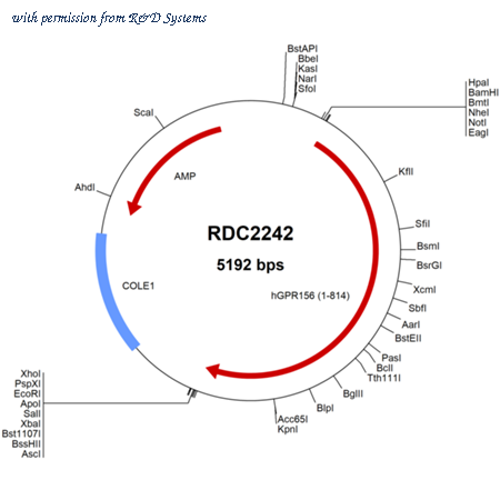 R&D Systems RDC2242 image 1