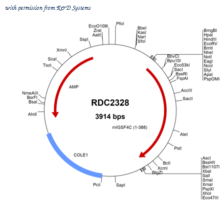 R&D Systems RDC2328 image 1
