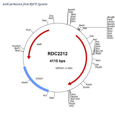 R&D Systems RDC2212 image 1
