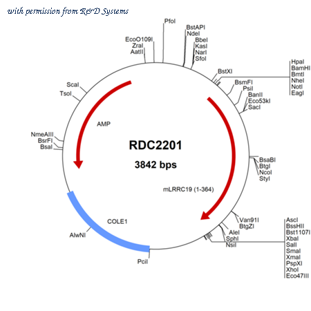 R&D Systems RDC2201 image 1