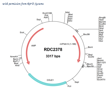 R&D Systems RDC2378 image 1