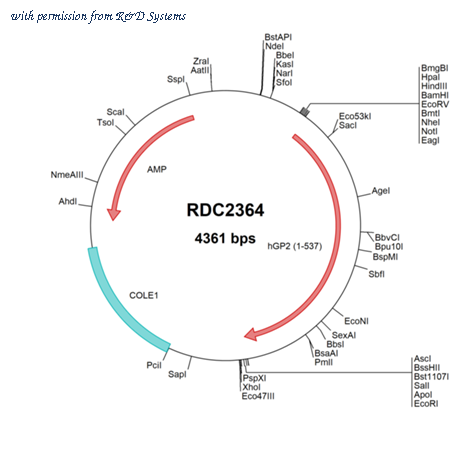 R&D Systems RDC2364 image 1