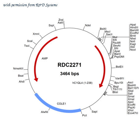 R&D Systems RDC2271 image 1