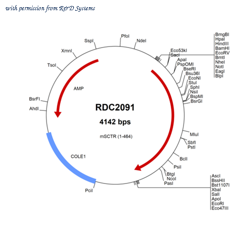 R&D Systems RDC2091 image 1