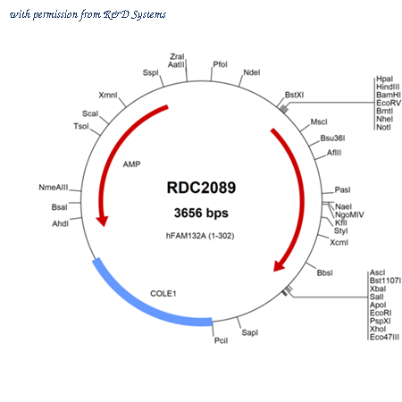 R&D Systems RDC2089 image 1