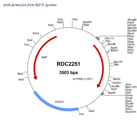 R&D Systems RDC2251 image 1