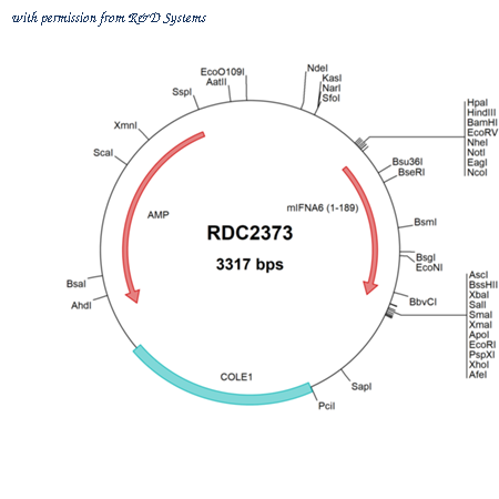 R&D Systems RDC2373 image 1