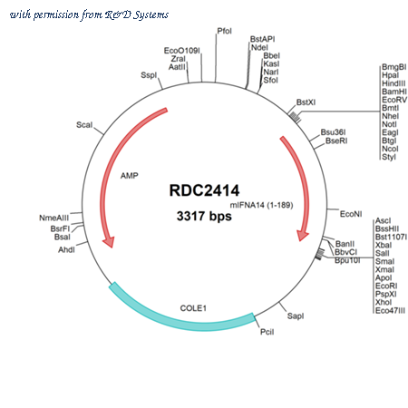 R&D Systems RDC2414 image 1