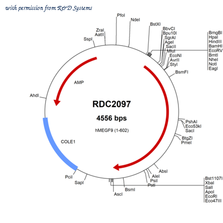 R&D Systems RDC2097 image 1