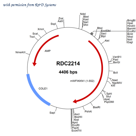 R&D Systems RDC2214 image 1
