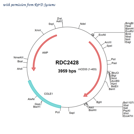 R&D Systems RDC2428 image 1