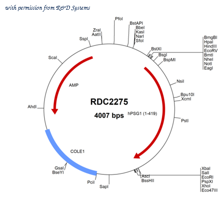 R&D Systems RDC2275 image 1