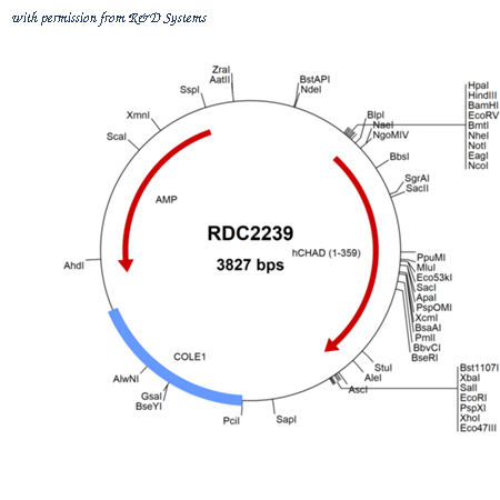 R&D Systems RDC2239 image 1