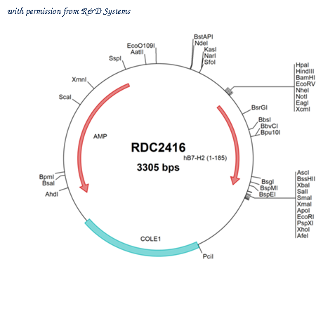R&D Systems RDC2416 image 1