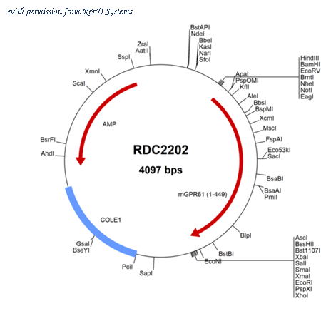 R&D Systems RDC2202 image 1