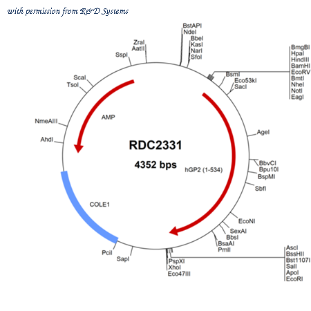 R&D Systems RDC2331 image 1