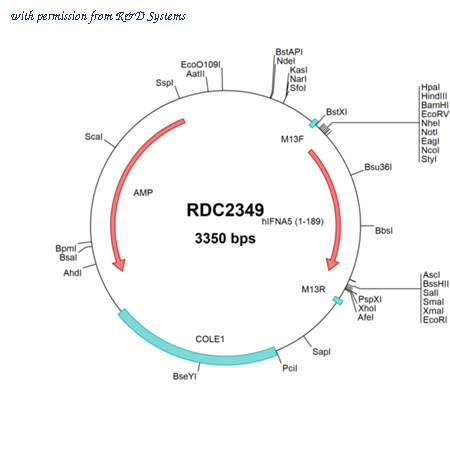 R&D Systems RDC2349 image 1