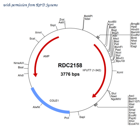 R&D Systems RDC2158 image 1
