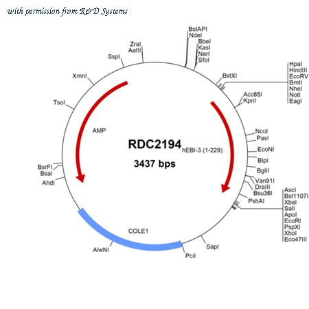 R&D Systems RDC2194 image 1
