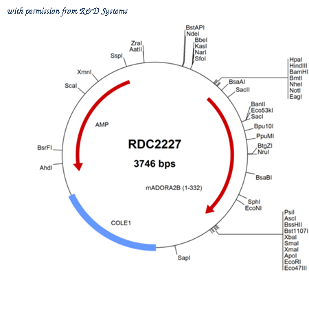 R&D Systems RDC2227 image 1