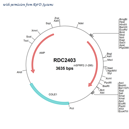R&D Systems RDC2403 image 1