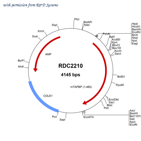 R&D Systems RDC2210 image 1