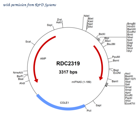 R&D Systems RDC2319 image 1
