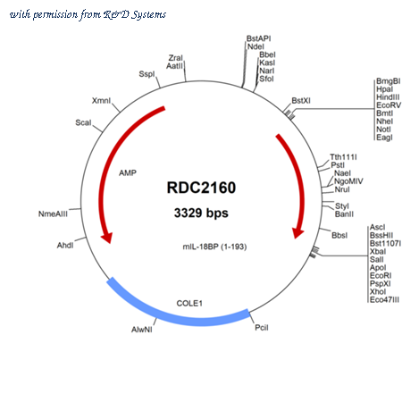 R&D Systems RDC2160 image 1