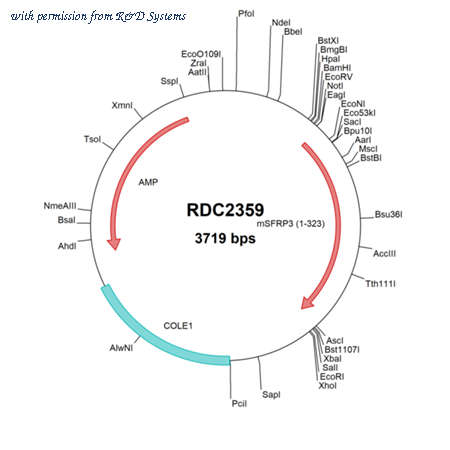 R&D Systems RDC2359 image 1