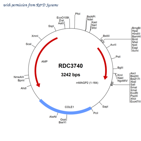 R&D Systems RDC3740 image 1