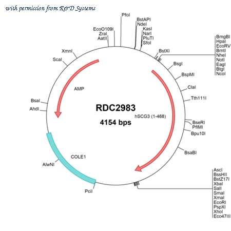 R&D Systems RDC2983 image 1