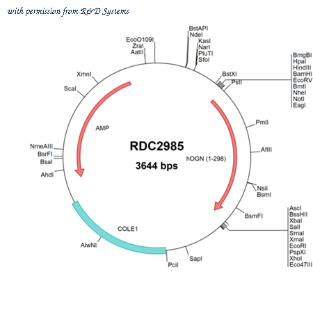 R&D Systems RDC2985 image 1