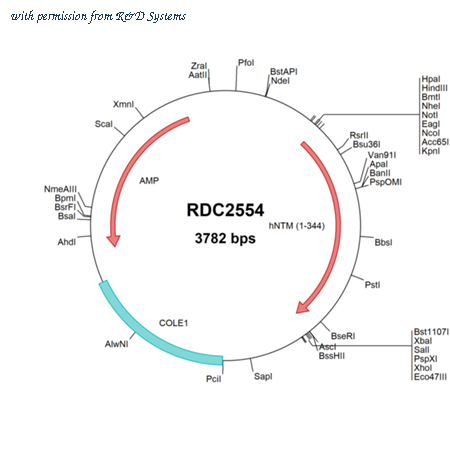 R&D Systems RDC2554 image 1