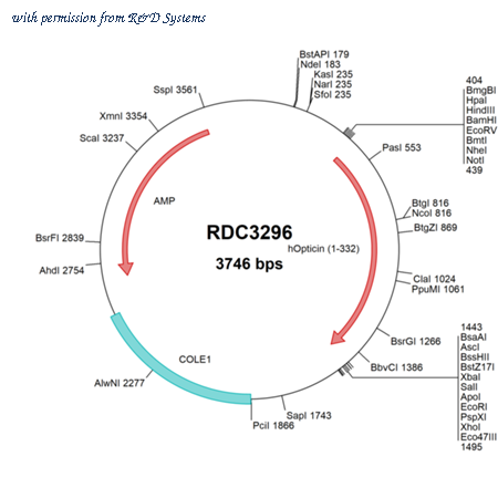 R&D Systems RDC3296 image 1