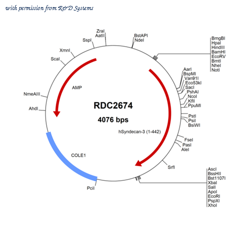 R&D Systems RDC2674 image 1