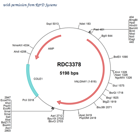 R&D Systems RDC3378 image 1