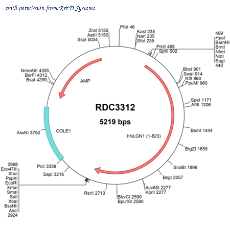 R&D Systems RDC3312 image 1