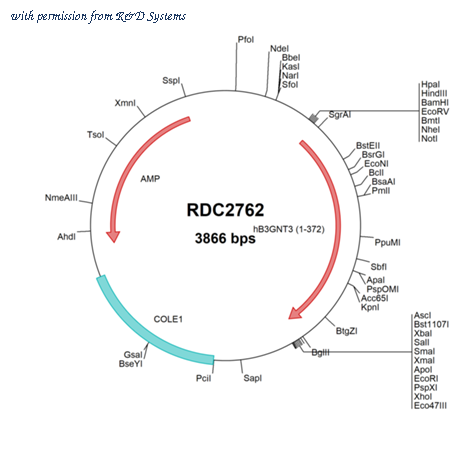 R&D Systems RDC2762 image 1