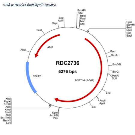 R&D Systems RDC2736 image 1