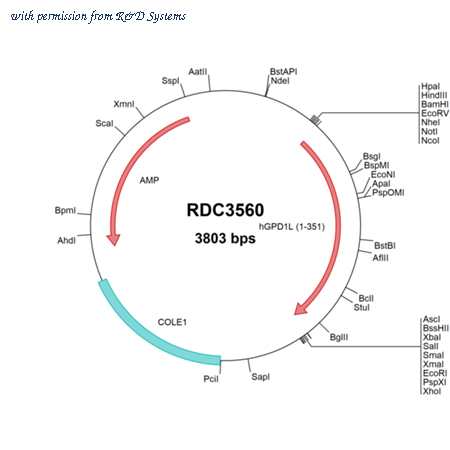 R&D Systems RDC3560 image 1