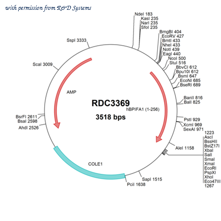 R&D Systems RDC3369 image 1